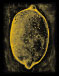 Bitter Lemon Press Logo