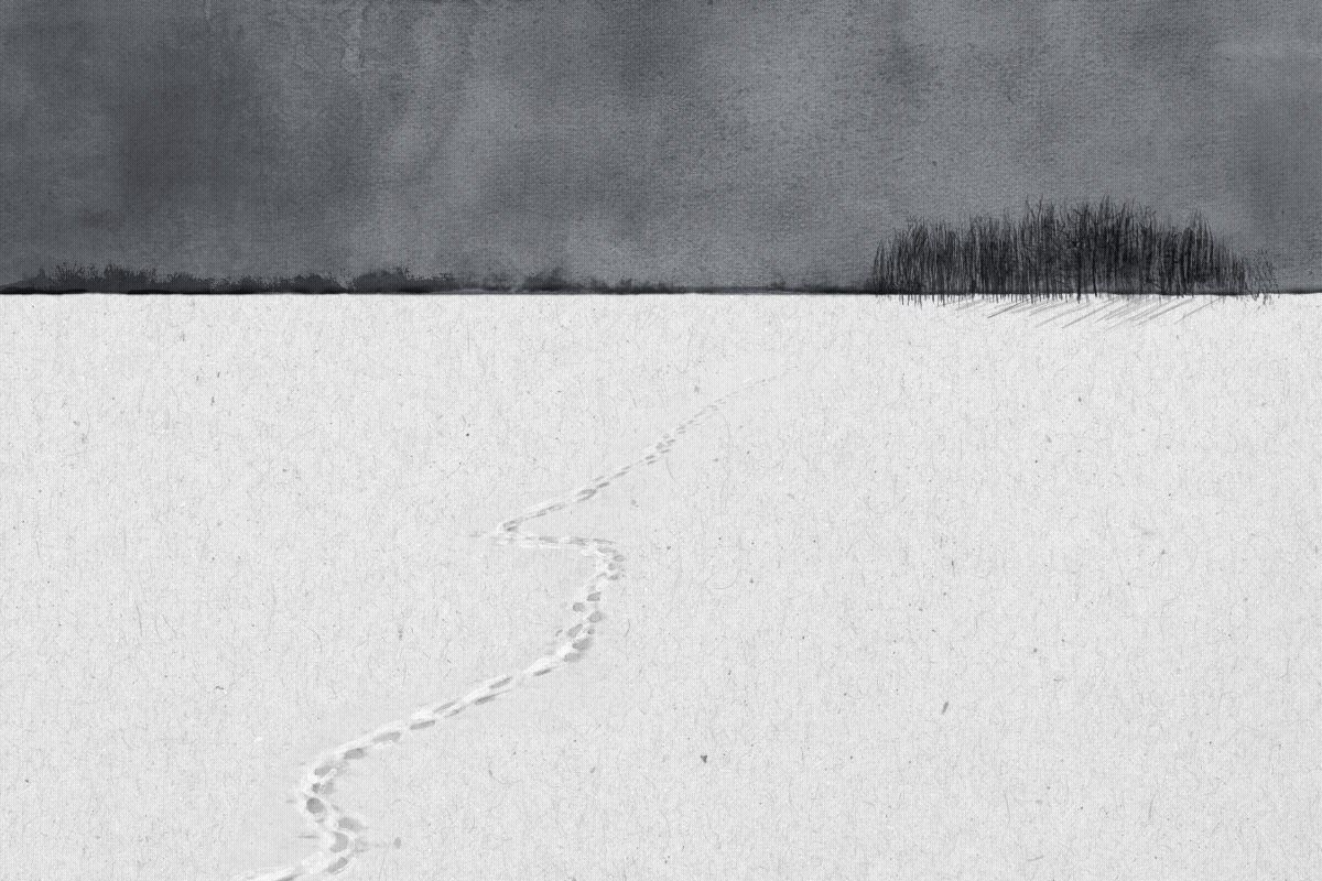 Animation of a paper aeroplane flying across a snowy winter landscape.